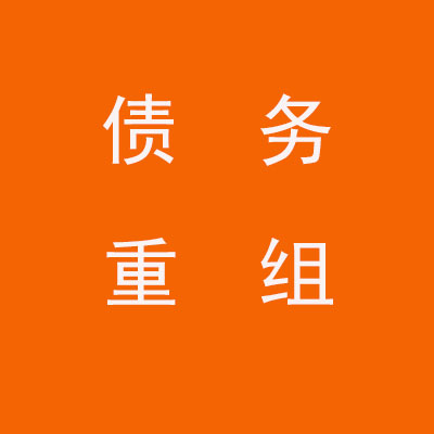 谢家集个人债务重组优化